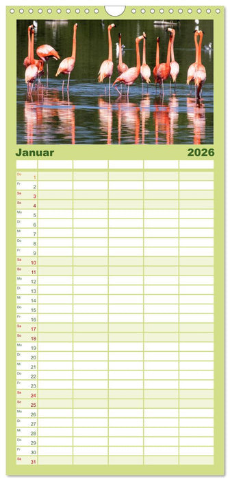 Kuba - Ein ganzes Jahr Karibikflair (CALVENDO Familienplaner 2026)