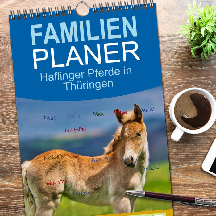 Haflinger Pferde in Thüringen (CALVENDO Familienplaner 2026)