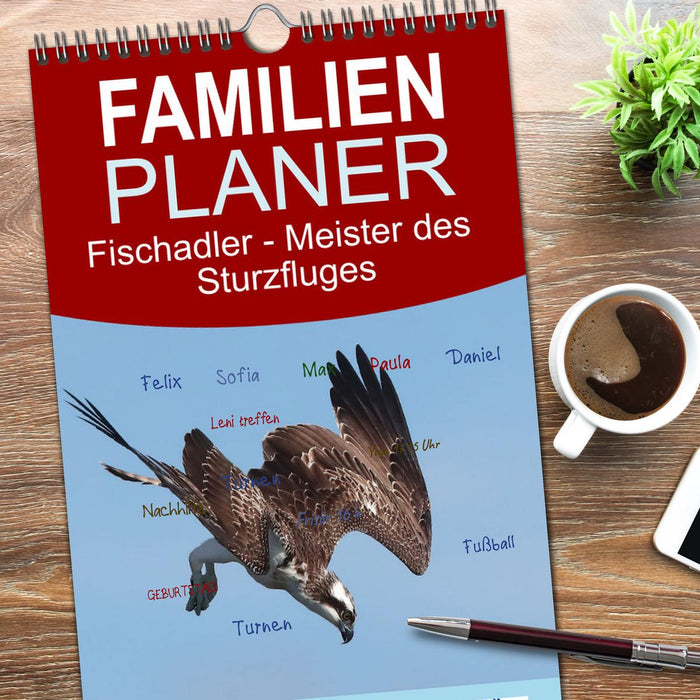 Fischadler - Meister des Sturzfluges (CALVENDO Familienplaner 2026)