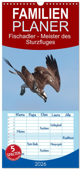 Fischadler - Meister des Sturzfluges (CALVENDO Familienplaner 2026)