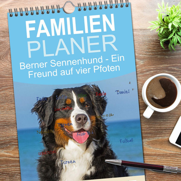 Berner Sennenhund - Ein Freund auf vier Pfoten (CALVENDO Familienplaner 2026)