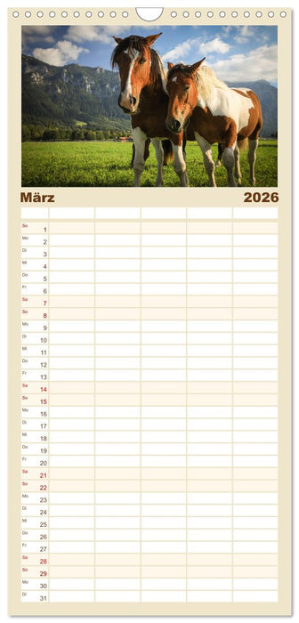 Ostallgäu - Zwischen Aggenstein und Forggensee (CALVENDO Familienplaner 2026)