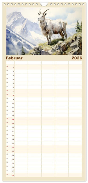 Die Magie der Bergwelt (CALVENDO Familienplaner 2026)