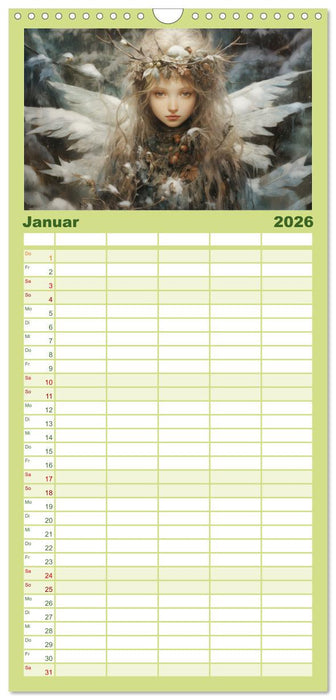 Feenglanz (CALVENDO Familienplaner 2026)