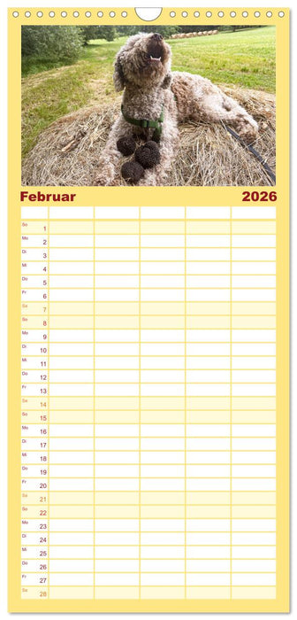 Französische Trüffelwelten (CALVENDO Familienplaner 2026)