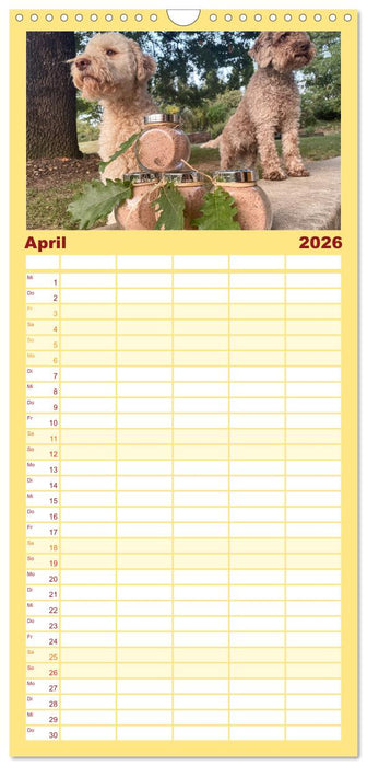 Französische Trüffelwelten (CALVENDO Familienplaner 2026)