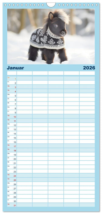 Kleine Pferde. Mini-Ponys zum verlieben (CALVENDO Familienplaner 2026)