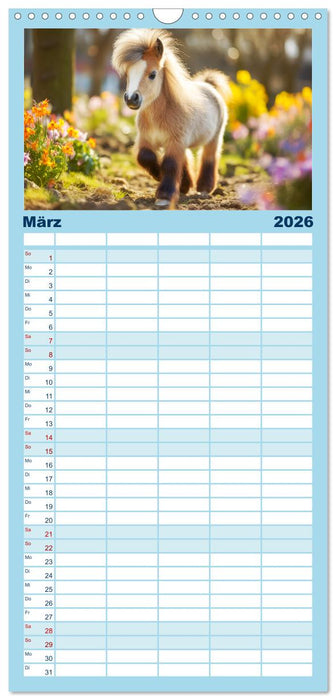 Kleine Pferde. Mini-Ponys zum verlieben (CALVENDO Familienplaner 2026)
