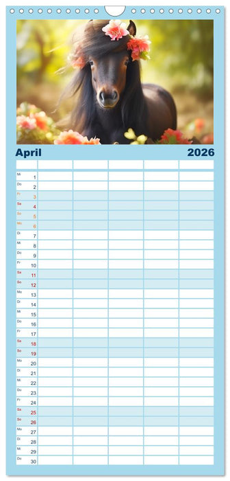 Kleine Pferde. Mini-Ponys zum verlieben (CALVENDO Familienplaner 2026)