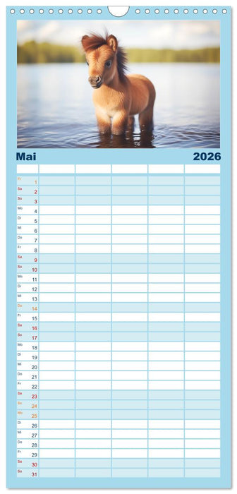 Kleine Pferde. Mini-Ponys zum verlieben (CALVENDO Familienplaner 2026)