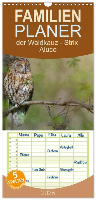 der Waldkauz - Strix Aluco (CALVENDO Familienplaner 2026)