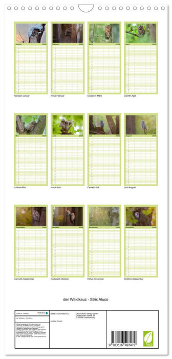 der Waldkauz - Strix Aluco (CALVENDO Familienplaner 2026)