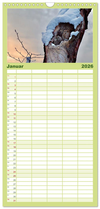 der Waldkauz - Strix Aluco (CALVENDO Familienplaner 2026)