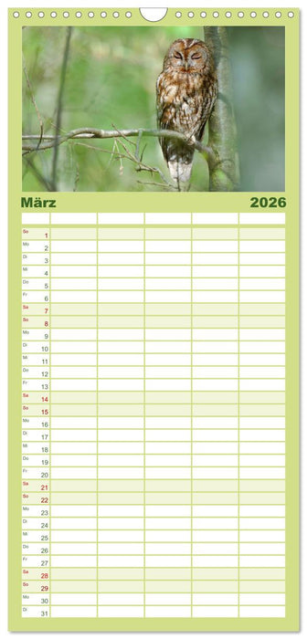 der Waldkauz - Strix Aluco (CALVENDO Familienplaner 2026)