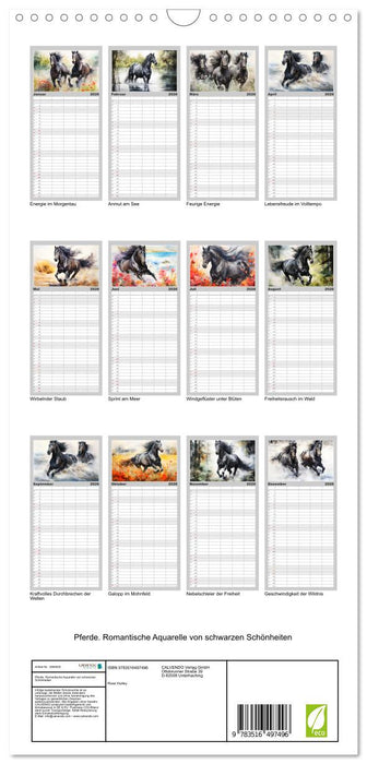 Pferde. Romantische Aquarelle von schwarzen Schönheiten (CALVENDO Familienplaner 2026)