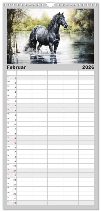 Pferde. Romantische Aquarelle von schwarzen Schönheiten (CALVENDO Familienplaner 2026)