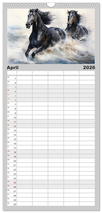 Pferde. Romantische Aquarelle von schwarzen Schönheiten (CALVENDO Familienplaner 2026)