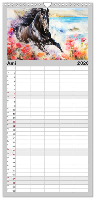 Pferde. Romantische Aquarelle von schwarzen Schönheiten (CALVENDO Familienplaner 2026)