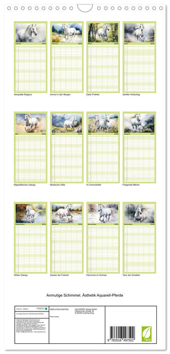 Anmutige Schimmel. Ästhetik Aquarell-Pferde (CALVENDO Familienplaner 2026)