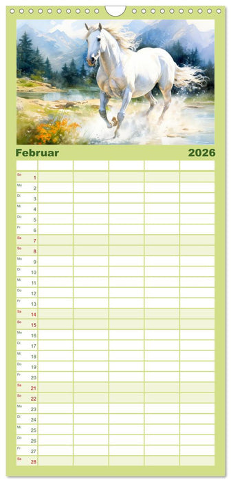 Anmutige Schimmel. Ästhetik Aquarell-Pferde (CALVENDO Familienplaner 2026)