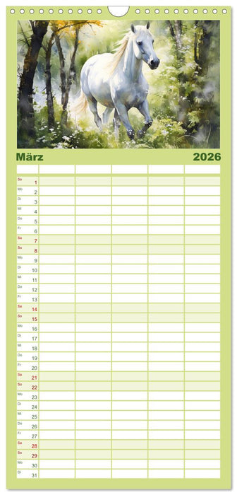 Anmutige Schimmel. Ästhetik Aquarell-Pferde (CALVENDO Familienplaner 2026)