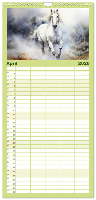 Anmutige Schimmel. Ästhetik Aquarell-Pferde (CALVENDO Familienplaner 2026)