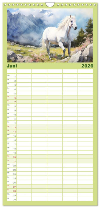 Anmutige Schimmel. Ästhetik Aquarell-Pferde (CALVENDO Familienplaner 2026)