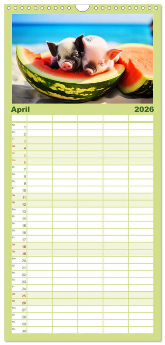 Schweinereien in der Karibik. Sonne und Spaß mit schwimmenden Schweinen (CALVENDO Familienplaner 2026)