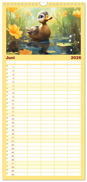 Lustige Enten. Niedlich und farbenfroh (CALVENDO Familienplaner 2026)