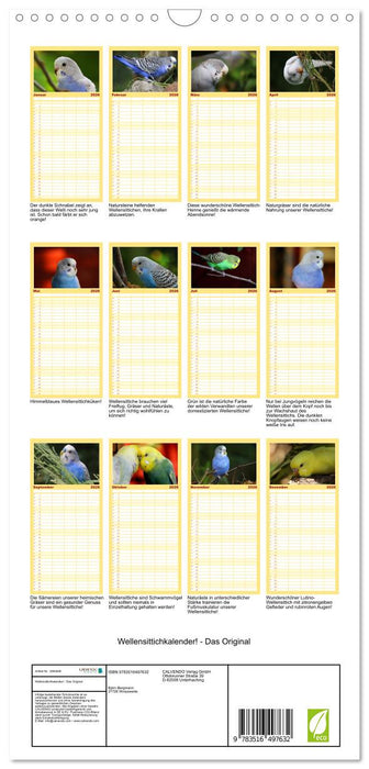 Wellensittichkalender! - Das Original (CALVENDO Familienplaner 2026)