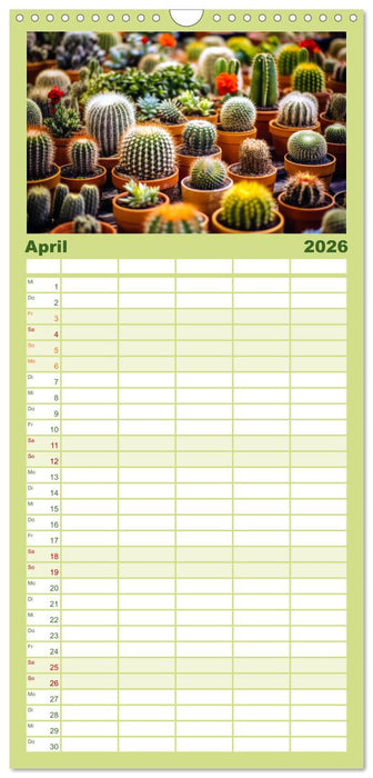 Kaktuszauberland (CALVENDO Familienplaner 2026)