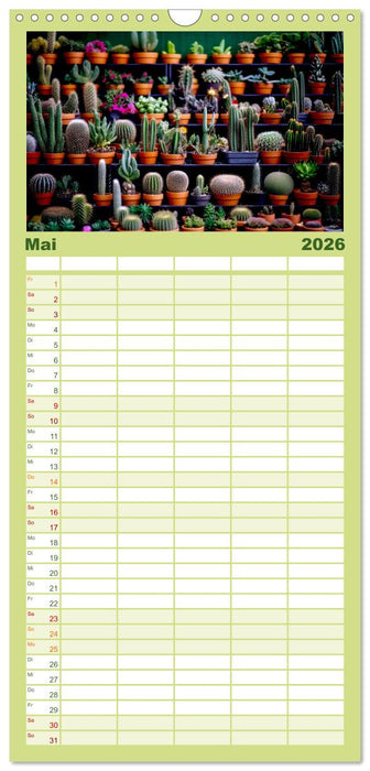 Kaktuszauberland (CALVENDO Familienplaner 2026)
