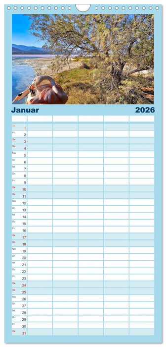 Kos - zauberhafte Insel des Dodekanes (CALVENDO Familienplaner 2026)