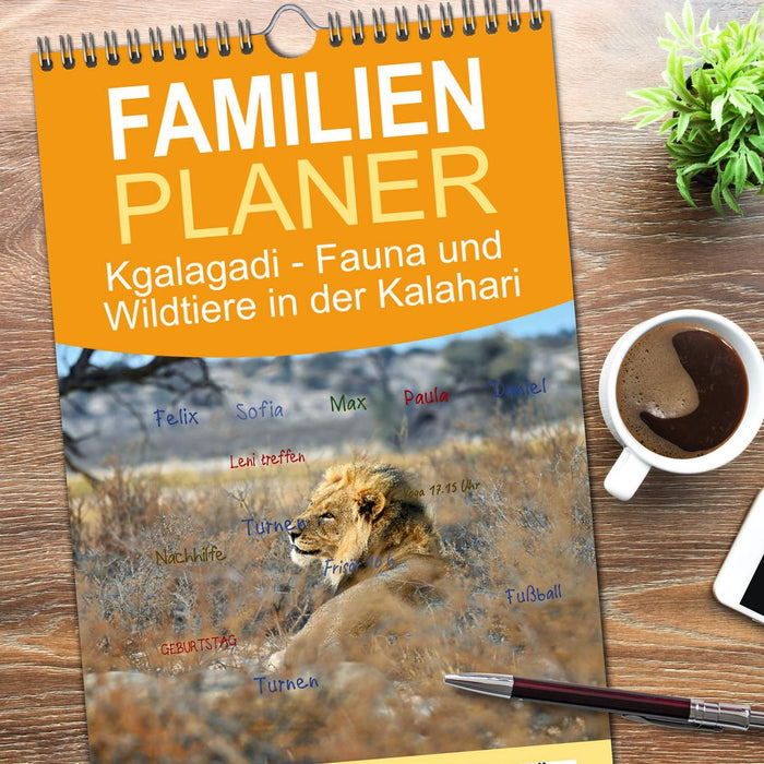 Kgalagadi - Fauna und Wildtiere in der Kalahari (CALVENDO Familienplaner 2026)