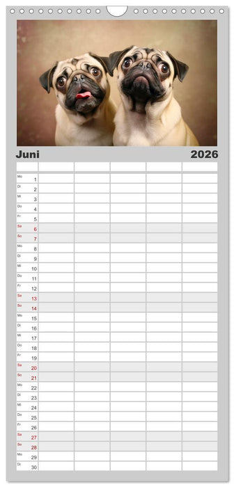 Unzertennlich (CALVENDO Familienplaner 2026)