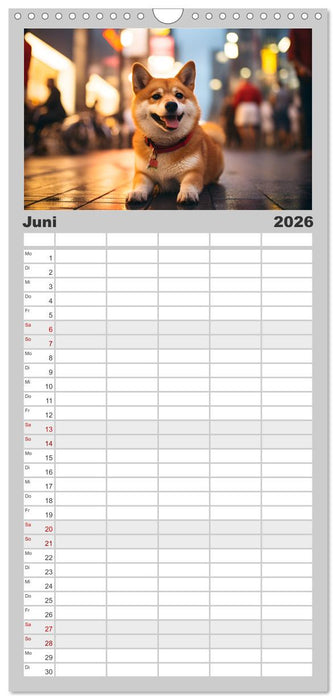 Shiba Inu - Stolz und Anmut (CALVENDO Familienplaner 2026)