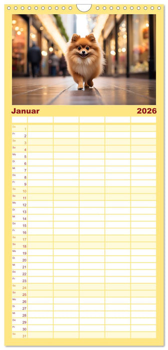 Zwergspitze - kleine Hunde, große Persönlichkeiten (CALVENDO Familienplaner 2026)