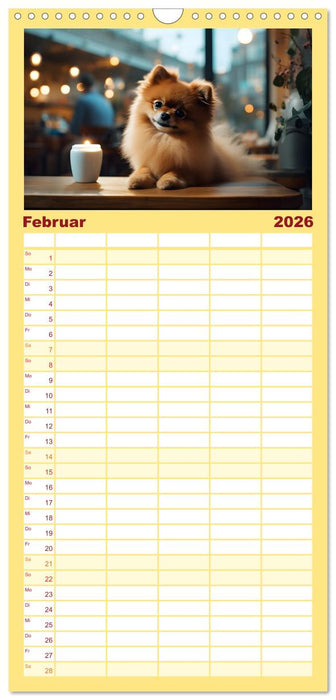 Zwergspitze - kleine Hunde, große Persönlichkeiten (CALVENDO Familienplaner 2026)