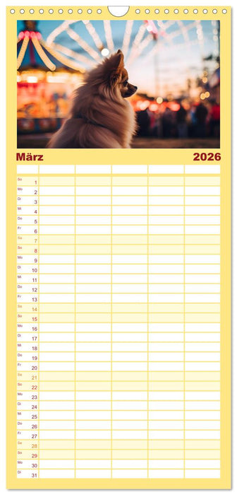 Zwergspitze - kleine Hunde, große Persönlichkeiten (CALVENDO Familienplaner 2026)