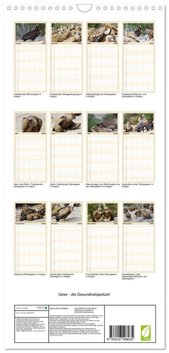 Geier - die Gesundheitspolizei! (CALVENDO Familienplaner 2026)