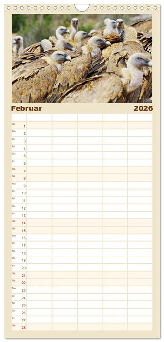 Geier - die Gesundheitspolizei! (CALVENDO Familienplaner 2026)