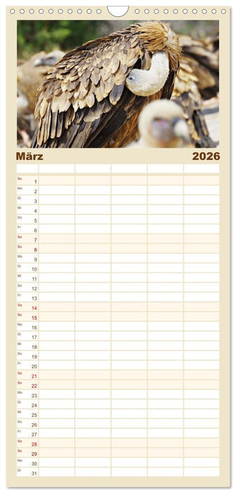 Geier - die Gesundheitspolizei! (CALVENDO Familienplaner 2026)