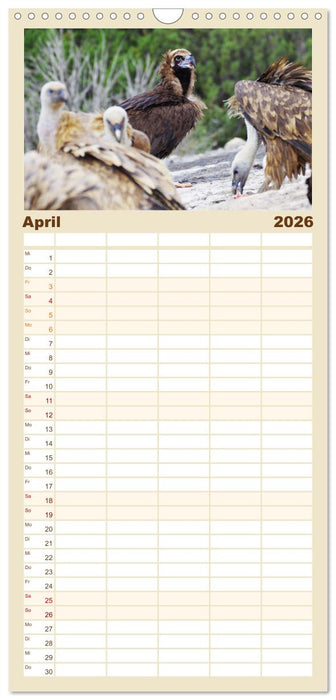 Geier - die Gesundheitspolizei! (CALVENDO Familienplaner 2026)