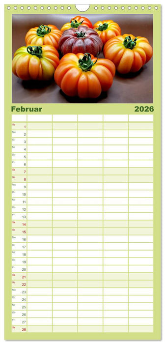 Tomaten Satt (CALVENDO Familienplaner 2026)