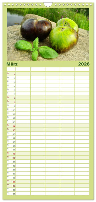 Tomaten Satt (CALVENDO Familienplaner 2026)