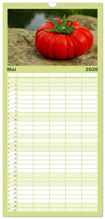 Tomaten Satt (CALVENDO Familienplaner 2026)