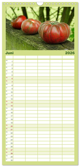 Tomaten Satt (CALVENDO Familienplaner 2026)