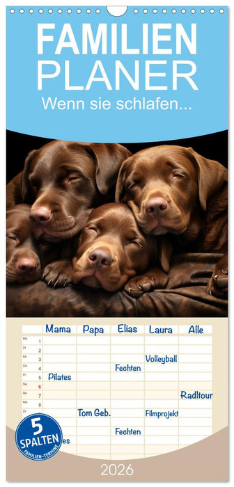 Wenn sie schlafen... (CALVENDO Familienplaner 2026)