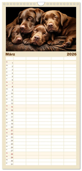 Wenn sie schlafen... (CALVENDO Familienplaner 2026)