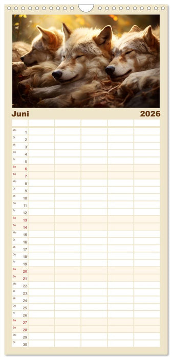 Wenn sie schlafen... (CALVENDO Familienplaner 2026)